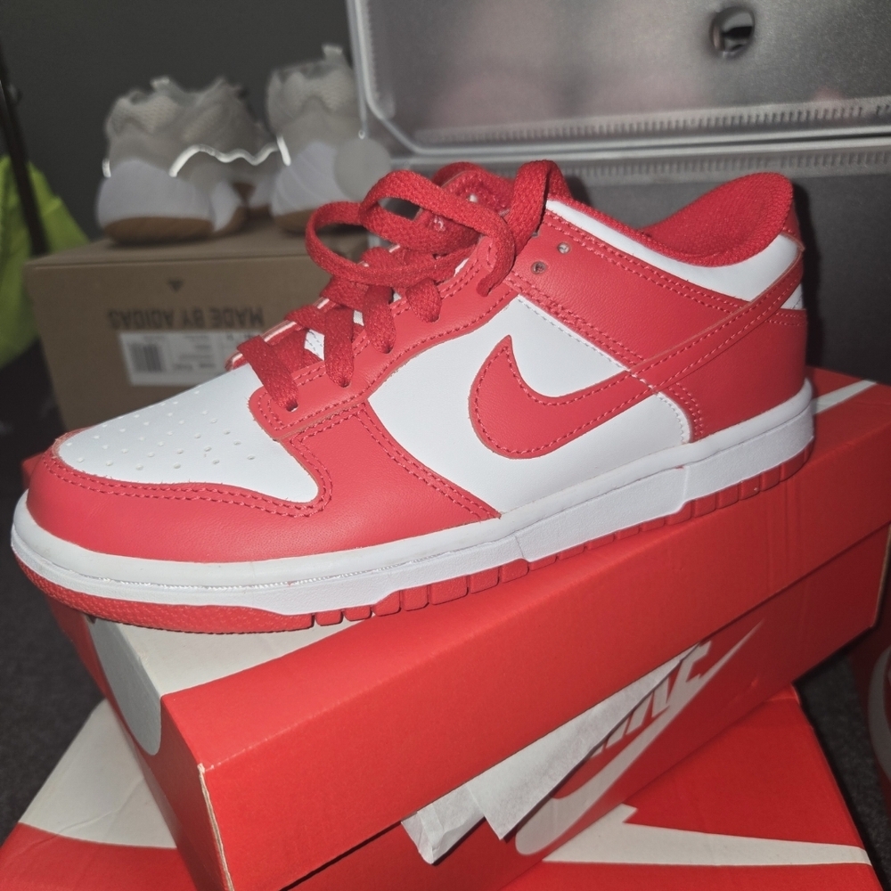 Nike Red Dunks